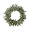 Northlight Snow Mountain Pine Artificial Christmas Wreath - 30-Inch, Unlit -Northlight Shop 0eii5x3ypkkgkxod3k0qrphsmijhofae 67623.1588353524