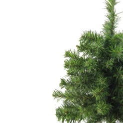 Northlight 18" Medium Canadian Pine Artificial Christmas Tree - Unlit -Northlight Shop 1dgizfmmwt8nkfrnll4q00mjuqkbwkfq 20469.1588356260