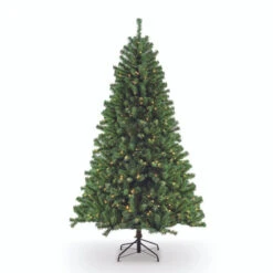 9β X 62β Pre-Lit Full Northern Fir Artificial Christmas Tree β Clear Lights