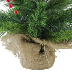 Northlight 24" Mixed Cashmere Berry Pine Medium Artificial Christmas Tree - Unlit -Northlight Shop 4fszc7qvvh13bkrz4obzvfcqiilqrfuf 15414.1665580316