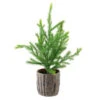 Northlight 12" Potted Medium Artificial Pine Christmas Tree - Unlit -Northlight Shop 5hip95ydsnqwl35ipyuiki9d00xcj5de 85753.1588359030