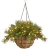Christmas Central 20" Pre-Lit Battery-Operated Tiffany Fir Artificial Christmas Hanging Basket - Warm White LED Lights -Northlight Shop afpckpgj646noerpuognt9hlp2yjbtbn 89668.1588406500