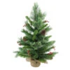 Northlight 24" Mixed Cashmere Berry Pine Medium Artificial Christmas Tree - Unlit -Northlight Shop b1jjxyjwpncjdqkv8uqayyqeifwljqbh 28317.1587644072