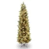 Christmas Central 7 Ft. Carolina Pine Slim Tree With Clear Lights 2 Christmas Central 7 Ft. Carolina Pine Slim Tree With Clear Lights -Northlight Shop cap3 330 70 72662.1588348986