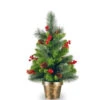 Christmas Central 2' Potted Crestwood Spruce Artificial Christmas Tree – Unlit -Northlight Shop cw7 701 20 04176.1588344960