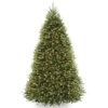 Christmas Central 9 Ft. Dunhill(R) Fir Tree With Clear Lights -Northlight Shop dnat1 36051.1664989119