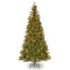 Christmas Central 7' Pre-Lit Aspen Spruce Artificial Christmas Tree, White Lights -Northlight Shop dnat20ap7 300 70 99538.1588344948