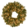 Christmas Central 24" Pre-Lit Carolina Pine Christmas Wreath With Battery Operated LED Lights
