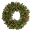Unlit Silver Bristle, Cones, Red Berries And Glitter Artificial Christmas Wreath - 24-Inch -Northlight Shop dnat20cw7 10 24w 1 32156.1663860828