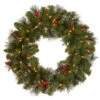 Christmas Central Pre-Lit Crestwood Spruce Artificial Christmas Wreath, 24-Inch, Clear Lights 1 Christmas Central Pre-Lit Crestwood Spruce Artificial Christmas Wreath, 24-Inch, Clear Lights -Northlight Shop dnat20cw7 306 24w 1 40508.1665261728