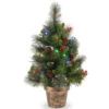 Christmas Central 2’ X 14” Pre-Lit Crestwood Spruce Artificial Christmas Tree – Multi-Color LED Lights -Northlight Shop dnat20cw7 334m 20 06866.1588344978