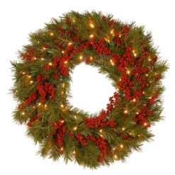 Christmas Central 24" Pre-Lit B/O LED Valley Pine Artificial Christmas Wreath – Warm White Lights