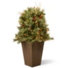 36” Pre-lit Glistening Pine Porch Bush With Clear Lights -Northlight Shop dnat20gn19 36tlo 53585.1588348970