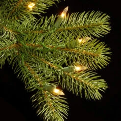 Christmas Central 10’ Pre-Lit Downswept Douglas Fir Artificial Christmas Tree, Clear Lights -Northlight Shop dnat20pedd1 312 100 2 14851.1665346765