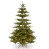 Christmas Central 7.5’ Pre-Lit Glenwood Fir Artificial Christmas Tree, Clear Lights -Northlight Shop dnat20pegw3 307p 75 38507.1588370504