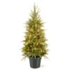 Christmas Central 4' Pre-lit Potted Weeping Spruce Artificial Christmas Tree, Clear Lights -Northlight Shop dnat20pews3e28090373e2809040 19148.1588348947
