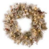 Christmas Central Pre-Lit Snowy Bedford Pine Artificial Christmas Wreath, 30-Inch, LED Lights -Northlight Shop dnat20sbe1 308 30wbc1 14908.1588371431