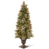 Christmas Central 5" Pre-Lit Potted Wintry Pine Artificial Christmas Tree, Clear Lights 2 Christmas Central 5" Pre-Lit Potted Wintry Pine Artificial Christmas Tree, Clear Lights -Northlight Shop dnat20wp1e28090302e2809050 99994.1588370679