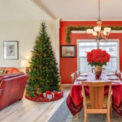 Northlight Shop -Northlight Shop dnat ap7 301 75 2 61841.1635248950