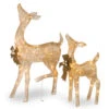 Christmas Central Set Of 2 LED Lighted Champagne Gold Fawn With Doe Outdoor Christmas Decoration 38" -Northlight Shop dnat df 105014u 30286.1587645161