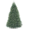 9' Pre-Lit Dunhill Blue Fir Hinged Artificial Christmas Tree - Clear Lights -Northlight Shop dnat dubh 90lo s1 01 31876.1631810844
