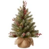 Christmas Central 2' Pre-Lit Dunhill Fir Artificial Christmas Tree - Warm White LED Lights 2 Christmas Central 2' Pre-Lit Dunhill Fir Artificial Christmas Tree - Warm White LED Lights -Northlight Shop dnat duf 300 20 b1 25959.1587645158