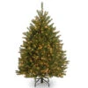 Christmas Central 4.5’ Pre-Lit Dunhill Fir Artificial Christmas Tree - Clear Lights 1 Christmas Central 4.5’ Pre-Lit Dunhill Fir Artificial Christmas Tree - Clear Lights -Northlight Shop dnat duh 45lo 06898.1664466982