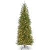 Christmas Central 10’ Pre-lit Dunhill Fir Slim Artificial Christmas Tree –Clear Lights 2 Christmas Central 10’ Pre-lit Dunhill Fir Slim Artificial Christmas Tree –Clear Lights -Northlight Shop dnat duslh1 100lo 1 32089.1631812646