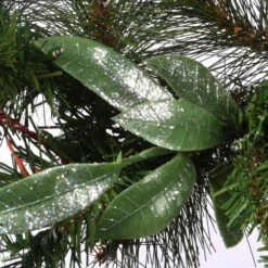 30" Pre-Lit Frosted Pine Berry Artificial Christmas Wreath - LED Lights Battery Operated -Northlight Shop dnat fpb 300 30wb 1 6 94640.1631812647