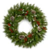 Christmas Central Frosted Pinecones And Berry Artificial Christmas Wreath, 24-Inch, Unlit -Northlight Shop dnat frb 24w 1 1 80075.1631812959