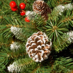Christmas Central Frosted Pinecones And Berry Artificial Christmas Wreath, 24-Inch, Unlit -Northlight Shop dnat frb 24w 1 3 35177.1631812959