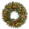 Christmas Central Pre-Lit Frosted Berry Artificial Christmas Wreath, 24-Inch, Clear Lights