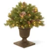 Christmas Central 2' Pre-lit Frosted Berry Porch Artificial Christmas Tree, Clear Lights -Northlight Shop dnat frb3 24plo 1 68412.1644108677