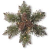 Christmas Central Pre-Lit Frosted Pinecone Artificial Christmas Star Wreath, 14-Inch, White Lights -Northlight Shop dnat gb1 300l 14sb 1 1 34397.1664990321