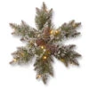 Christmas Central 18" Pre-Lit Pine Snowflake Artificial Christmas Wreath, Warm White LED Lights 2 Christmas Central 18" Pre-Lit Pine Snowflake Artificial Christmas Wreath, Warm White LED Lights -Northlight Shop dnat gb1 300l 18sb 1 1 27680.1664989116