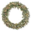 Pre-Lit Glittery Bristle Pine Artificial Christmas Wreath - 48-Inch, Clear Lights -Northlight Shop dnat gb1 332 48w 1 60496.1631812644