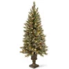 Christmas Central 5’ Pre-Lit Potted Glittery Bristle Pine Artificial Christmas Tree, White LED Lights -Northlight Shop dnat gb3 326 50 1 55055.1631812950