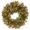 Christmas Central Pre-Lit Frosted Mountain Spruce Artificial Christmas Wreath, 24-Inch, White Lights -Northlight Shop dnat glm1 300 24w b1 1 90395.1631812945