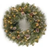 Christmas Central Pre-Lit Glittery Pine Artificial Christmas Wreath, 24-Inch, Clear Lights -Northlight Shop dnat gp1 300 24w 1 1 68025.1670489777