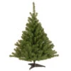 Christmas Central 4’ Kincaid Spruce Artificial Christmas Tree, Unlit -Northlight Shop dnat kcdr 40 1 28812.1663860825