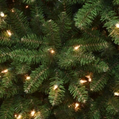 Christmas Central 7’ Pre-lit Kingswood Fir Pencil Artificial Christmas Tree, Clear Lights -Northlight Shop dnat kw7 300 70 3 47562.1664900745