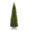 Christmas Central 12’ Pencil Kingswood Fir Artificial Christmas Tree, Unlit 1 Christmas Central 12’ Pencil Kingswood Fir Artificial Christmas Tree, Unlit -Northlight Shop dnat kw7 500 120 01 44323.1663860514