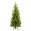 Christmas Central 4’ Kingswood Fir Pencil Artificial Christmas Tree, Unlit 1 Christmas Central 4’ Kingswood Fir Pencil Artificial Christmas Tree, Unlit -Northlight Shop dnat kw7 500 40 01 09886.1664726382