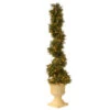 4.5' Pre-lit Potted Juniper Spiral Slim Artificial Christmas Tree - Clear Lights 1 4.5' Pre-lit Potted Juniper Spiral Slim Artificial Christmas Tree - Clear Lights -Northlight Shop dnat lcysp4 321 54 1 72276.1587645158