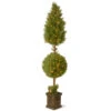 Christmas Central 6' Pre-lit Potted Juniper Spiral Pencil Artificial Christmas Tree - Clear Lights 2 Christmas Central 6' Pre-lit Potted Juniper Spiral Pencil Artificial Christmas Tree - Clear Lights -Northlight Shop dnat lcyt4 302 72 1 02748.1587645163