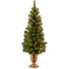 Christmas Central 4’ Pre-Lit Potted Montclair Spruce Artificial Christmas Tree, Clear Lights -Northlight Shop dnat mc7 308 40 01 60589.1631811177