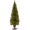 6' Pre-Lit Montclair Spruce Christmas Tree - Clear Lights 1 6' Pre-Lit Montclair Spruce Christmas Tree - Clear Lights -Northlight Shop dnat mc7 308 60 01 56023.1664380273