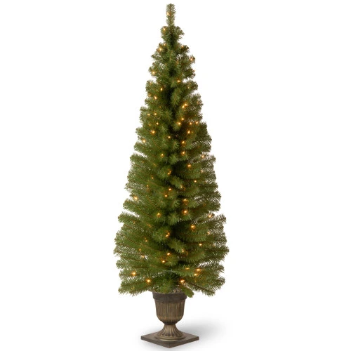 6' Pre-Lit Montclair Spruce Christmas Tree - Clear Lights 3 6' Pre-Lit Montclair Spruce Christmas Tree - Clear Lights