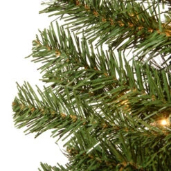 6' Pre-Lit Montclair Spruce Christmas Tree - Clear Lights 7 6' Pre-Lit Montclair Spruce Christmas Tree - Clear Lights -Northlight Shop dnat mc7 308 60 3 27830.1664380273
