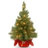 Christmas Central 2’ Pre-lit Potted Majestic Fir Tree Artificial Christmas Tree, White Lights 2 Christmas Central 2’ Pre-lit Potted Majestic Fir Tree Artificial Christmas Tree, White Lights -Northlight Shop dnat mj3 24bglo 1 01 95727.1631812948